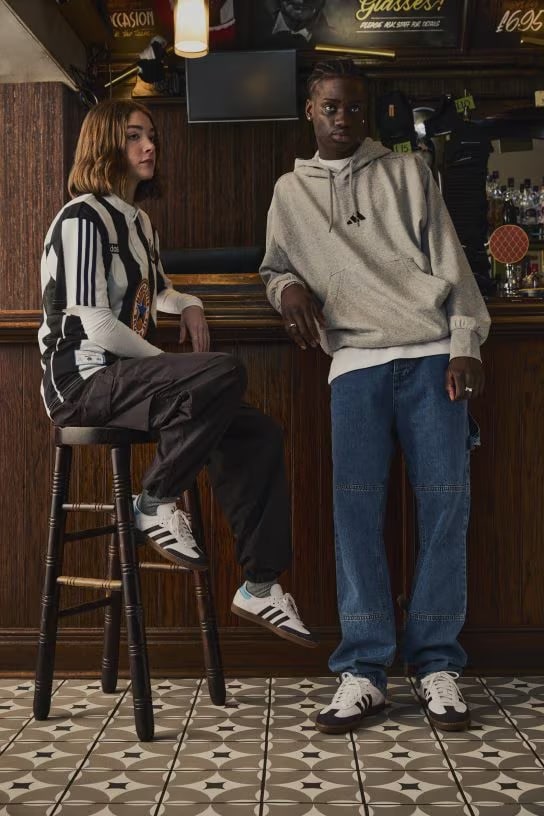 zomšinių batų valymas